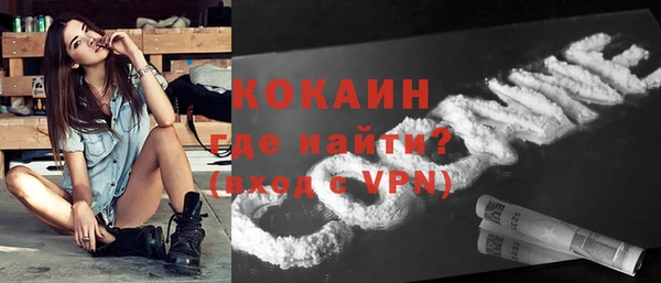 шишки Елизово
