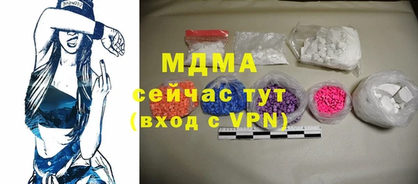 гидра Ельня