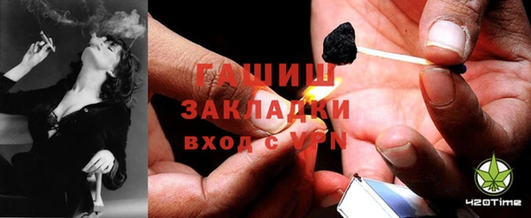 гидра Ельня