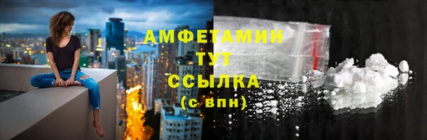 шишки Елизово