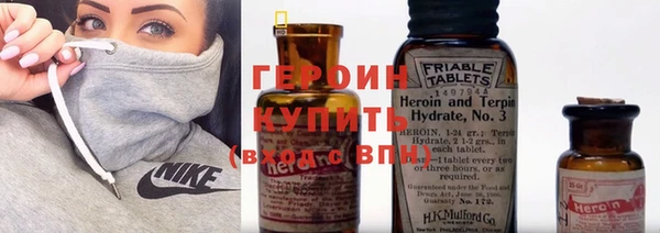 гидра Ельня