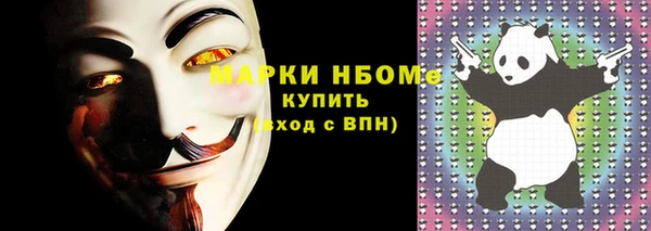 гидра Ельня