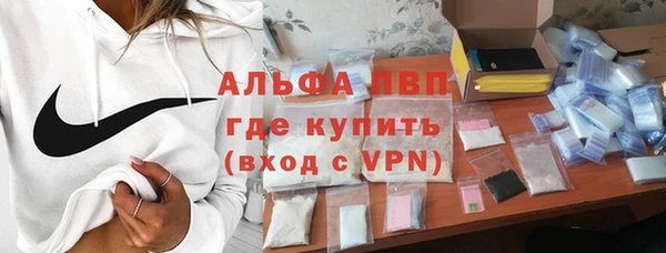 гидра Ельня