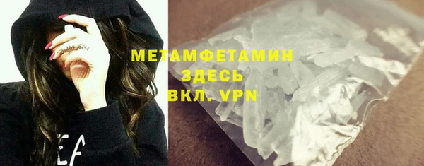 гидра Ельня