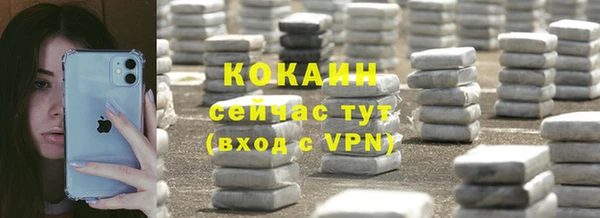 гидра Ельня