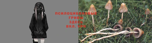 герыч Елабуга