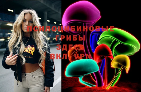 шишки Елизово
