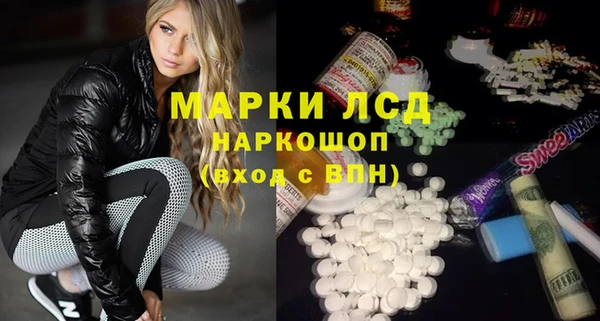 гидра Ельня