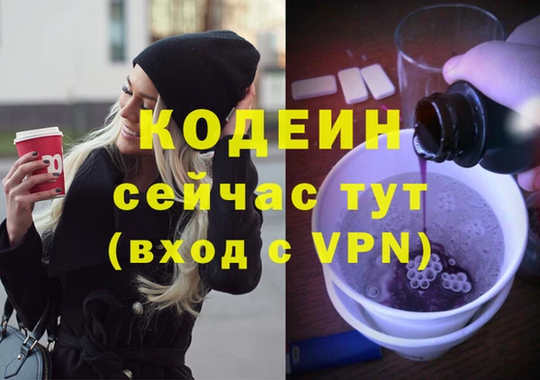 гидра Ельня