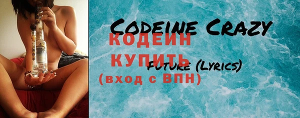 гидра Ельня