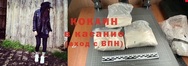 гидра Ельня