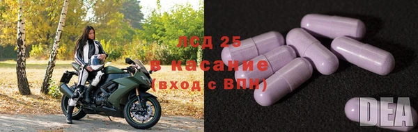 герыч Елабуга