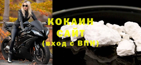 шишки Елизово