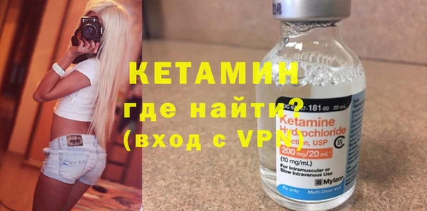 гидра Ельня