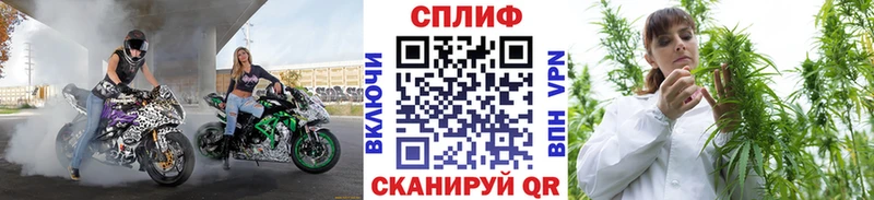 Конопля THC 21% Кедровый